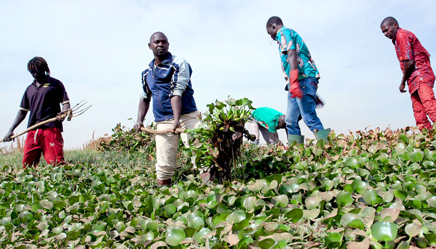 Group of people working in a project involving water plants in Burkina Faso