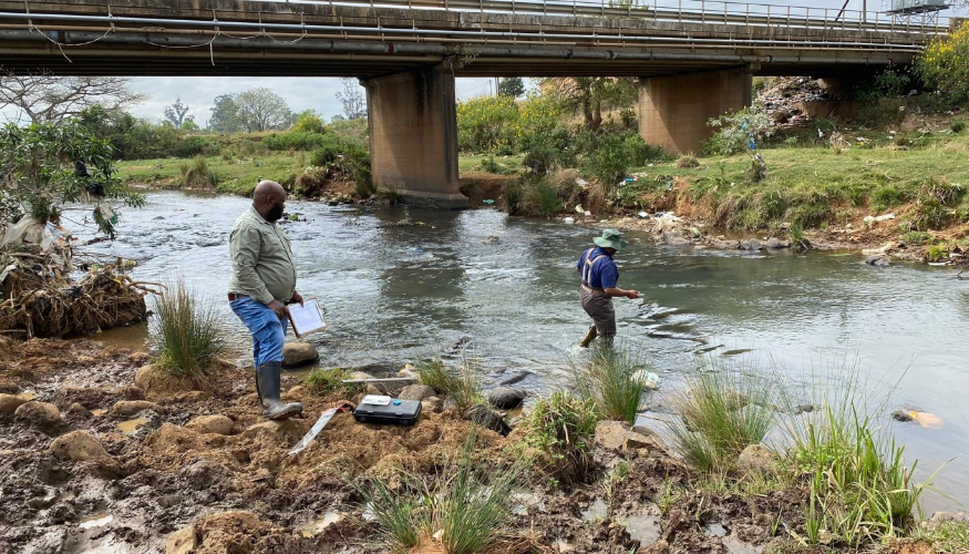 Two men are inspecting a small river, one of them is standing in the water.