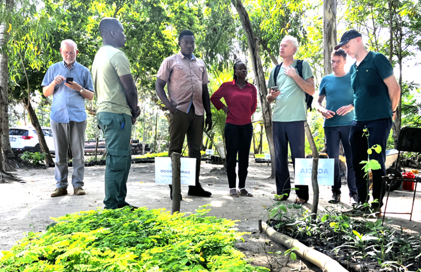 A group of people is looking at small plants at a tree nursery.