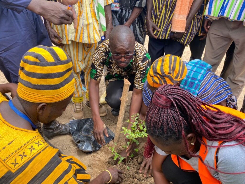 Environmental chiefs planting trees