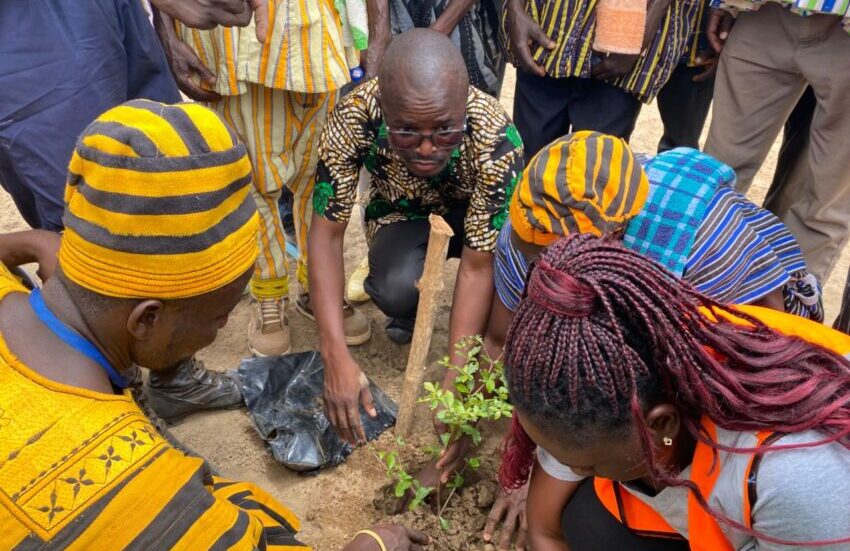 Environmental chiefs planting trees