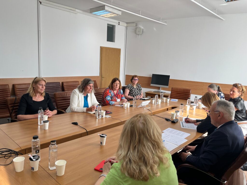 Dutch delegation in Romania June 2025