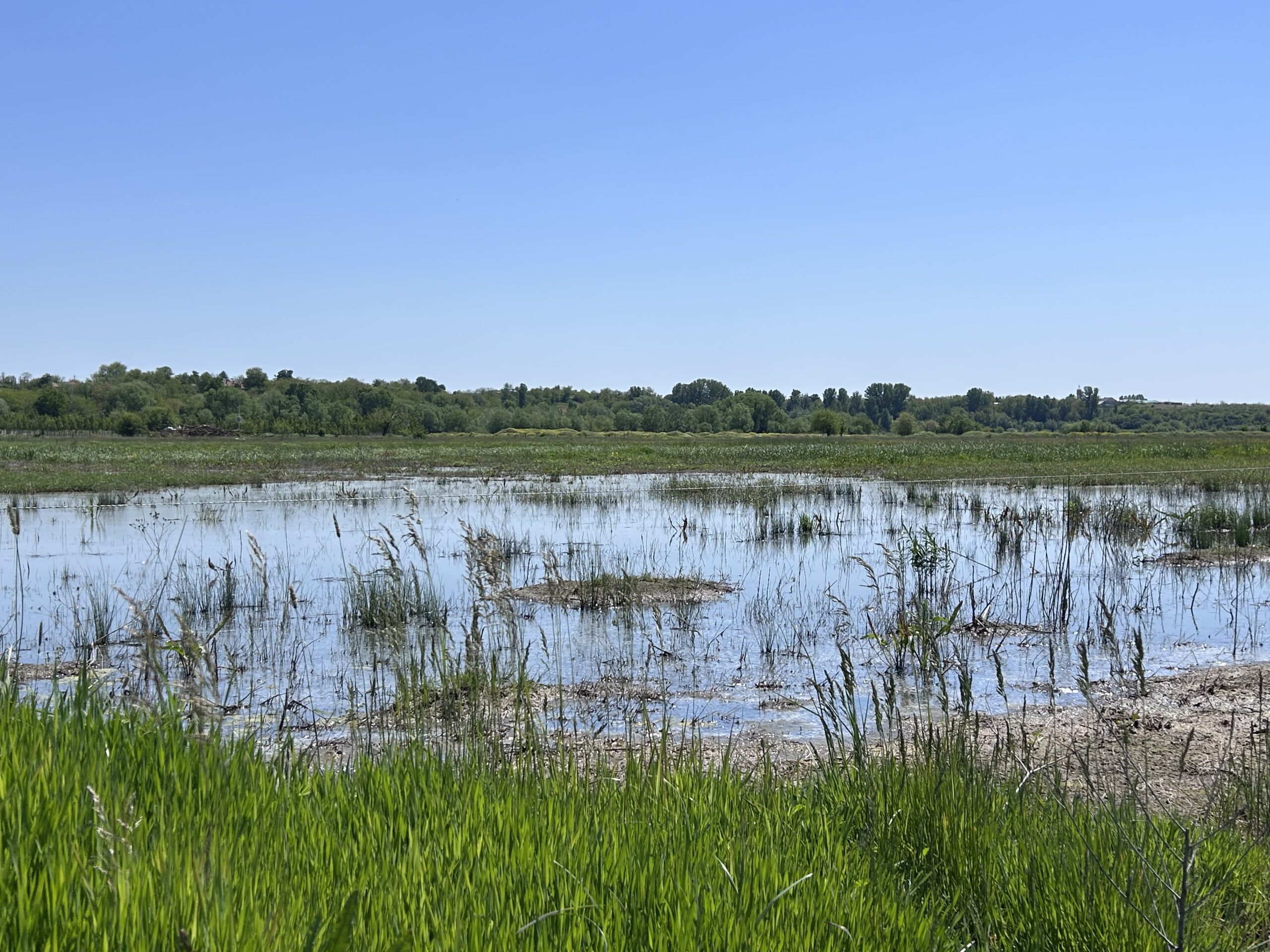 Isalnița reservoir on the Jiu river